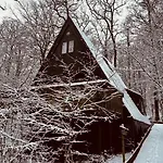 Woods Chalet *