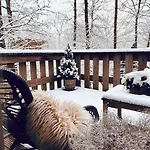 Woods Chalet